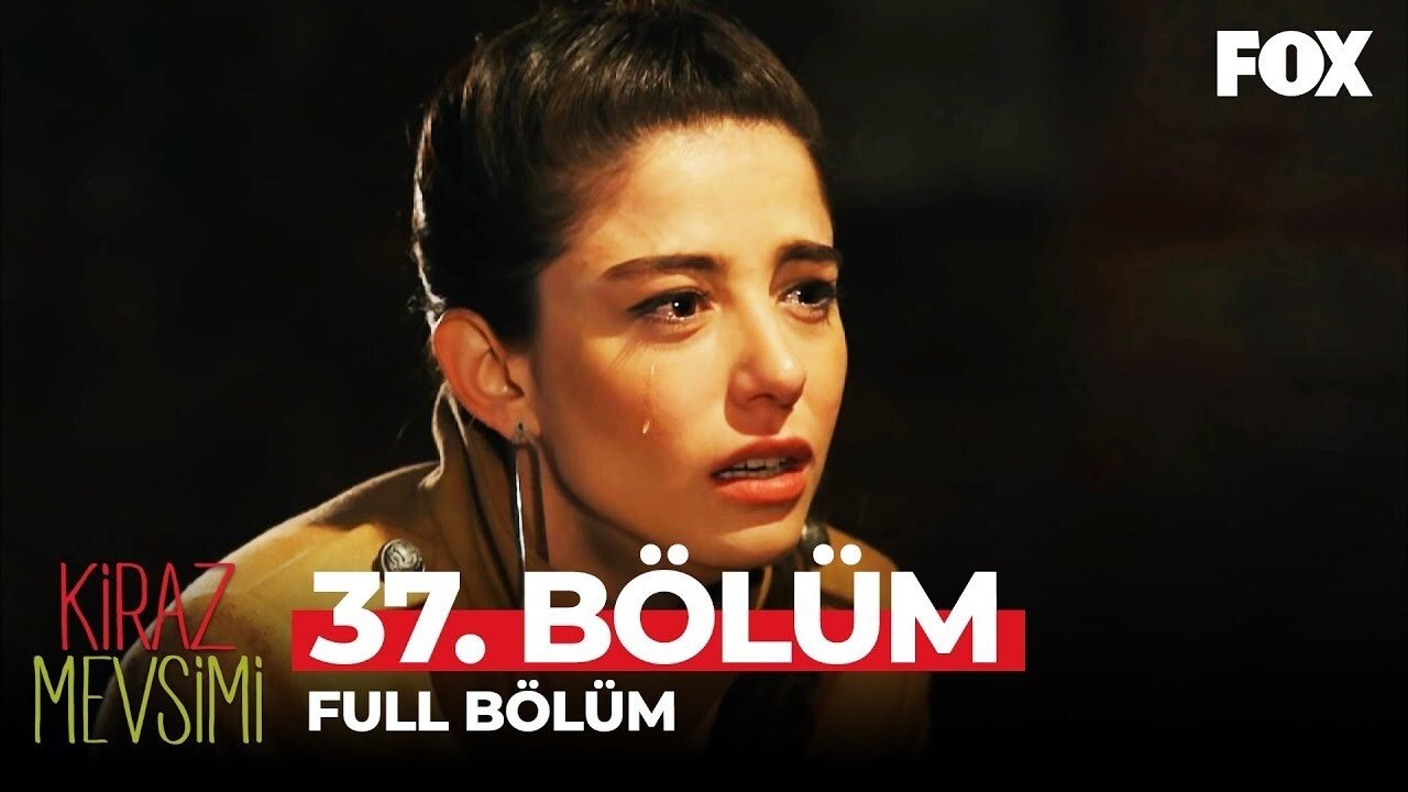 Episódio 37