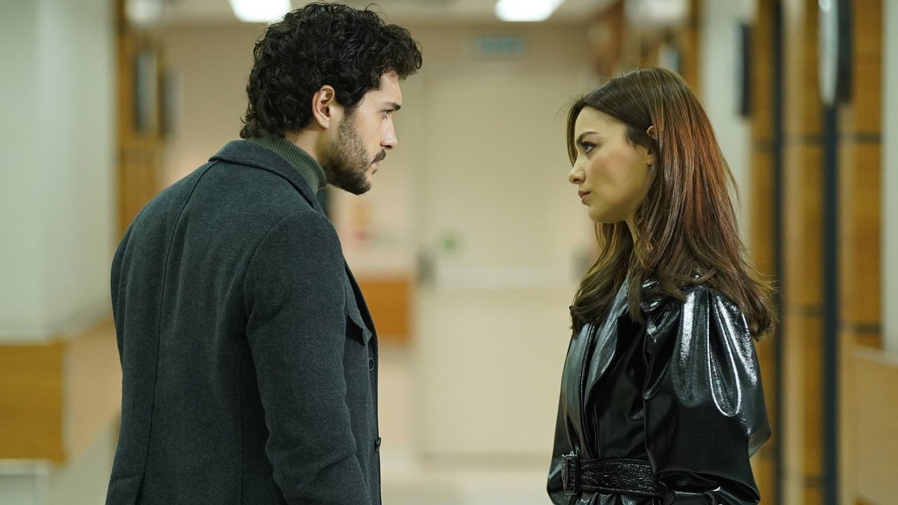 Episódio 7