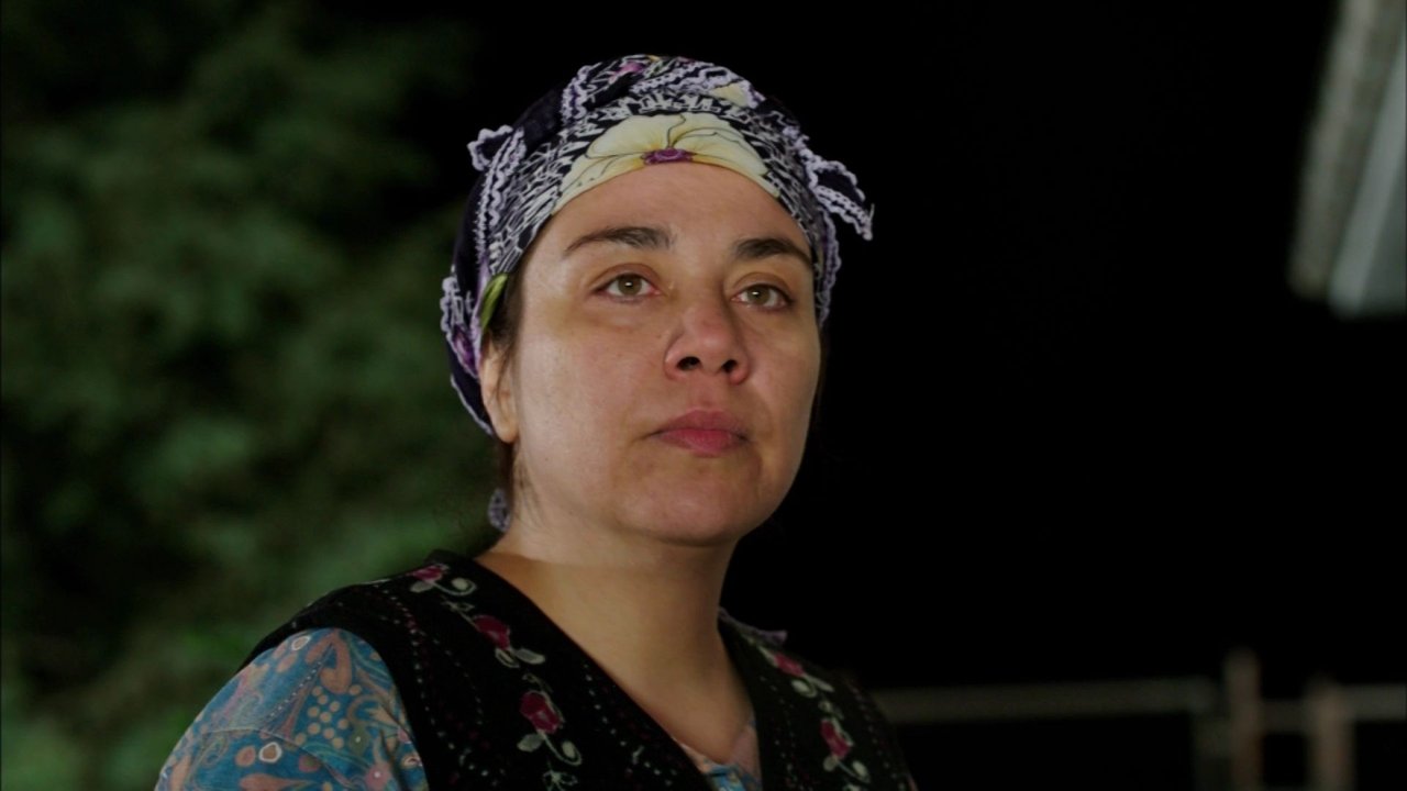 Episódio 1