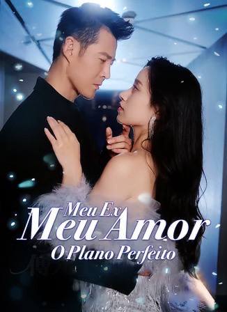 Image MEU EX, MEU AMOR O PLANO PERFEITO