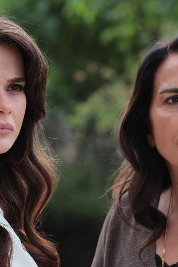 Episódio 25