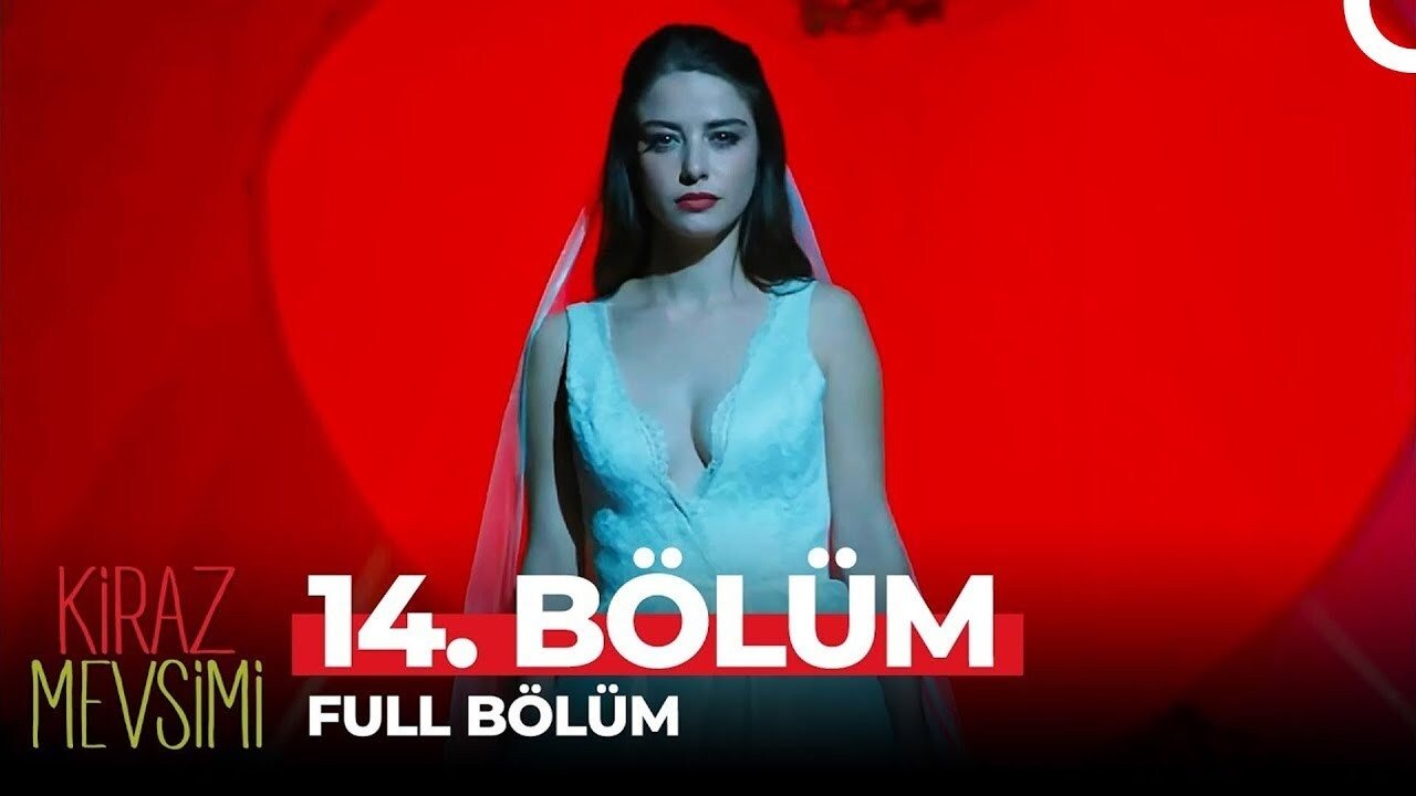 Episódio 14