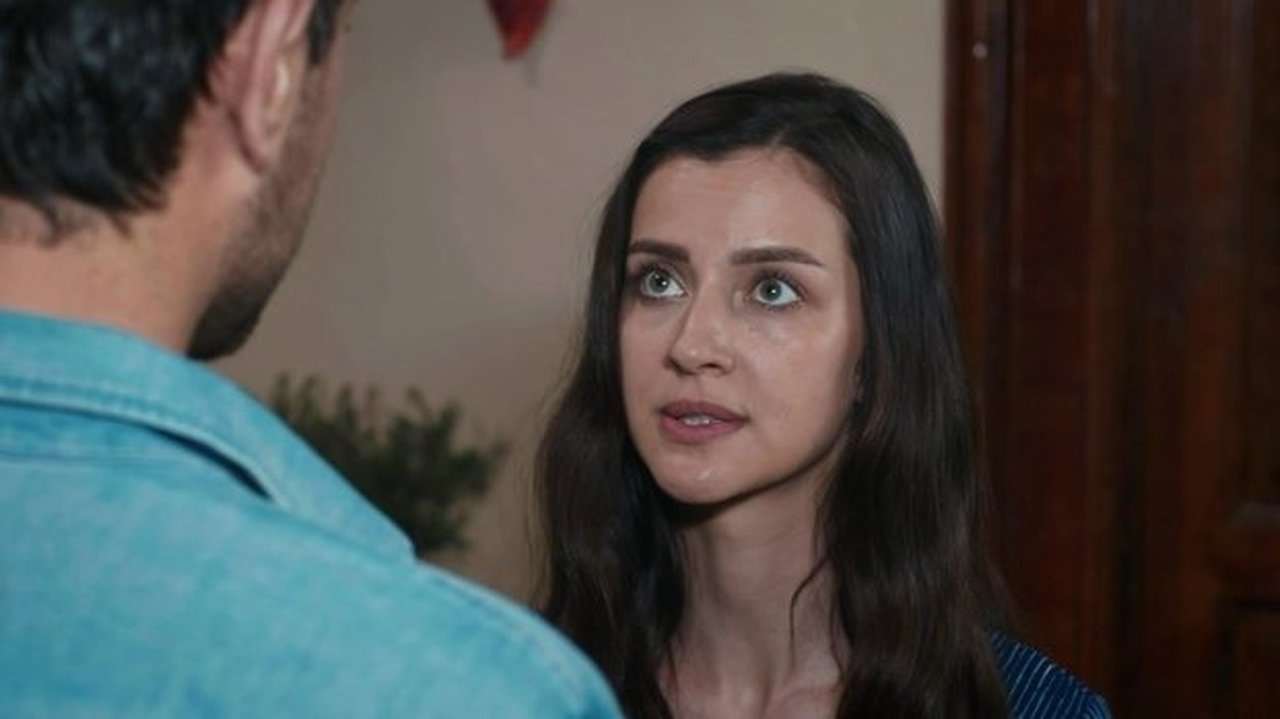Episódio 17